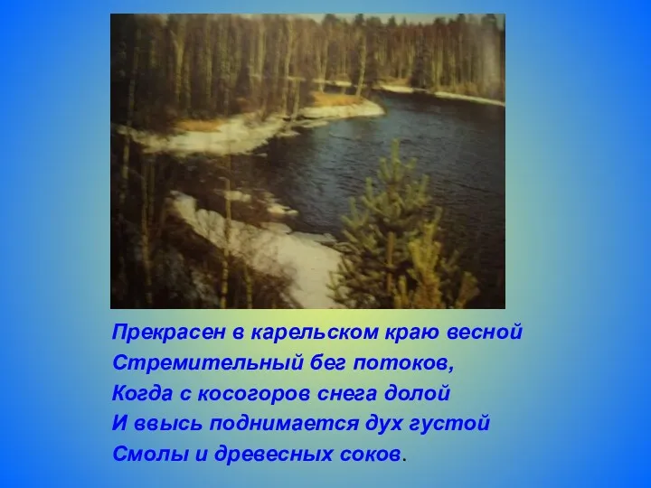 Прекрасен в карельском краю весной Стремительный бег потоков, Когда с