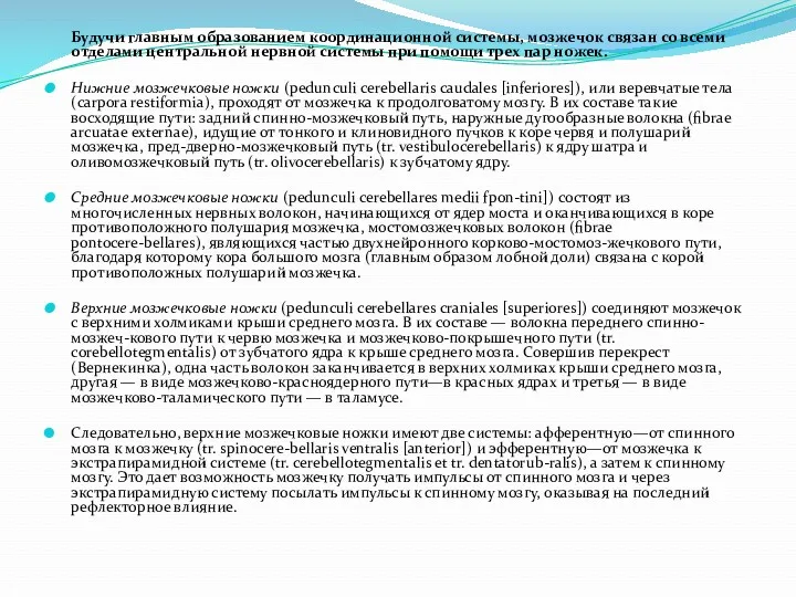 Будучи главным образованием координационной системы, мозжечок связан со всеми отделами