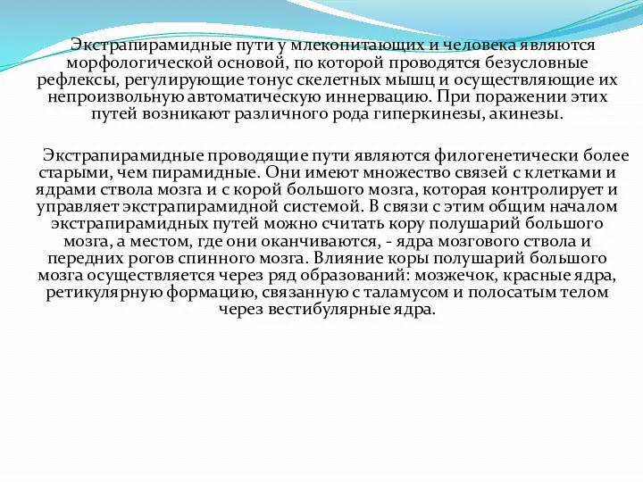 Экстрапирамидные пути у млекопитающих и человека являются морфологической основой, по