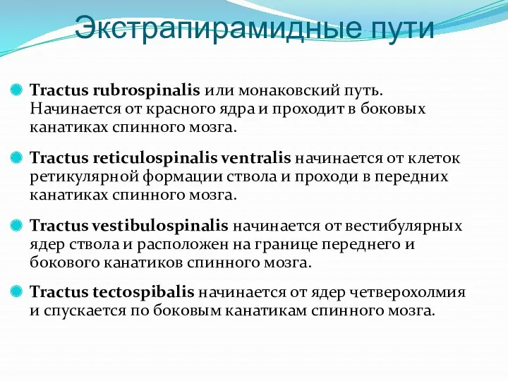 Экстрапирамидные пути Tractus rubrospinalis или монаковский путь. Начинается от красного