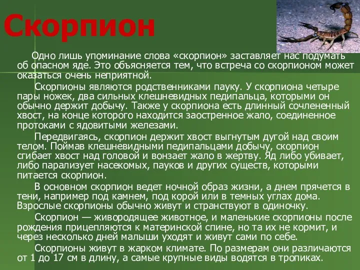 Скорпион Одно лишь упоминание слова «скорпион» заставляет нас подумать об