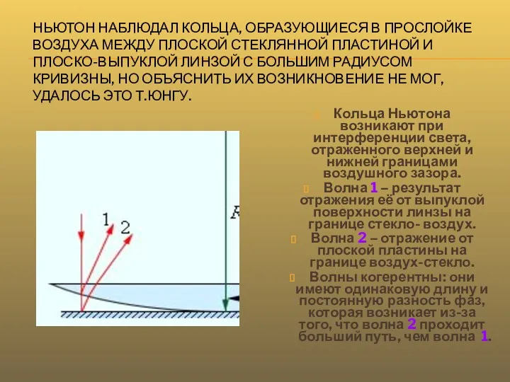 НЬЮТОН НАБЛЮДАЛ КОЛЬЦА, ОБРАЗУЮЩИЕСЯ В ПРОСЛОЙКЕ ВОЗДУХА МЕЖДУ ПЛОСКОЙ СТЕКЛЯННОЙ