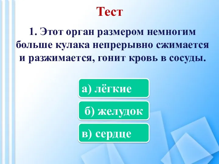 Тест 1. Этот орган размером немногим больше кулака непрерывно сжимается