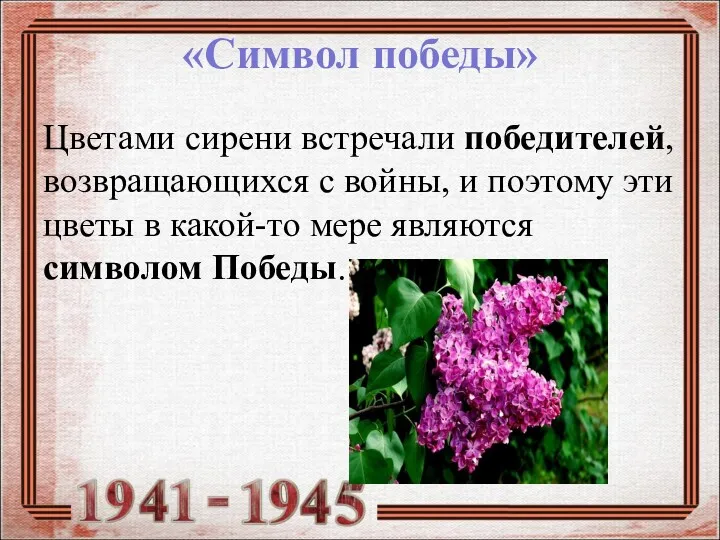 «Символ победы» Цветами сирени встречали победителей, возвращающихся с войны, и