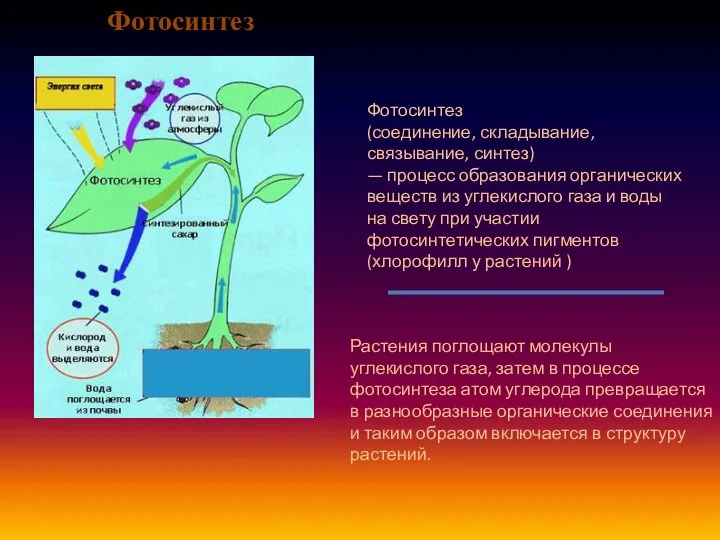 Фотосинтез Фотосинтез (соединение, складывание, связывание, синтез) — процесс образования органических