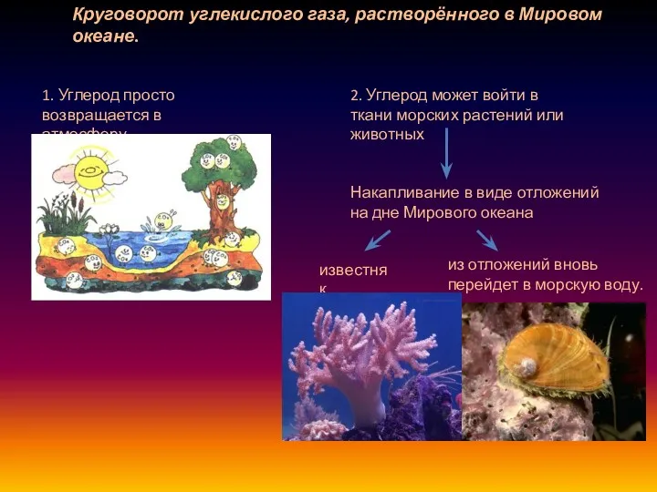 Круговорот углекислого газа, растворённого в Мировом океане. 1. Углерод просто