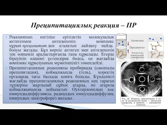 Реакцияның негізіне ерітілетін молекулалық антигенмен антидененің комплекс құрып преципитат деп