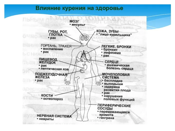 Влияние курения на здоровье