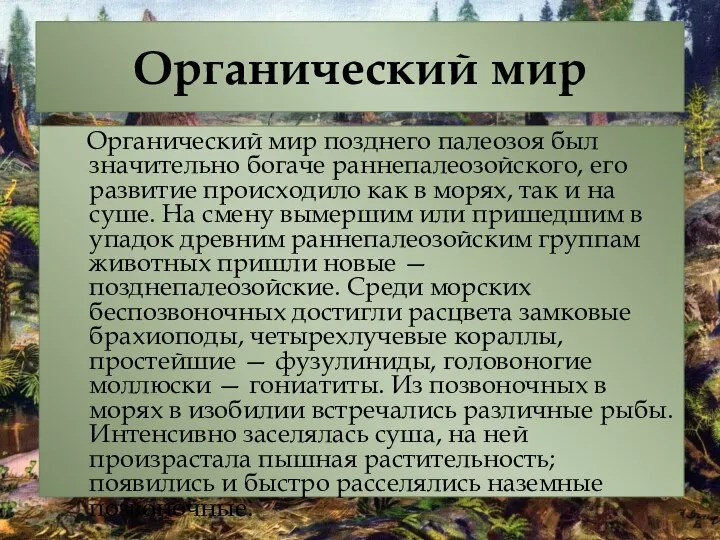 Органический мир Органический мир позднего палеозоя был значительно богаче раннепалеозойского,