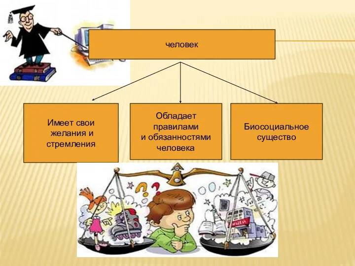 человек Имеет свои желания и стремления Обладает правилами и обязанностями человека Биосоциальное существо