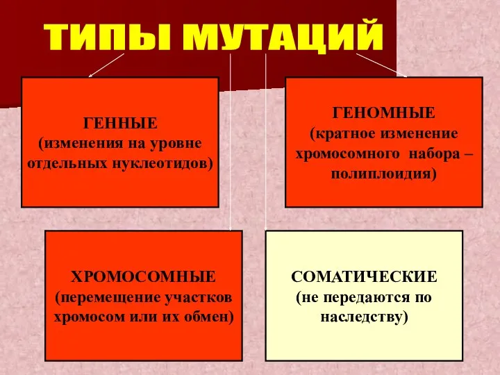 ГЕННЫЕ (изменения на уровне отдельных нуклеотидов) ГЕНОМНЫЕ (кратное изменение хромосомного