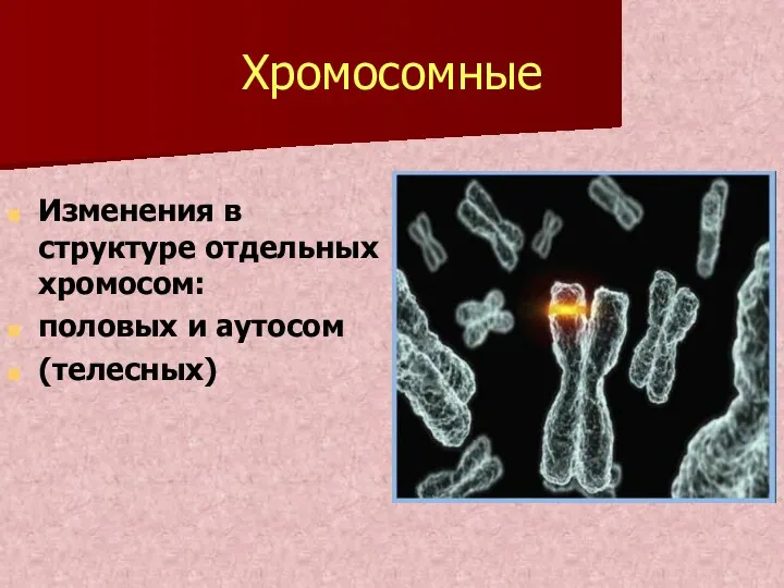 Хромосомные Изменения в структуре отдельных хромосом: половых и аутосом (телесных)