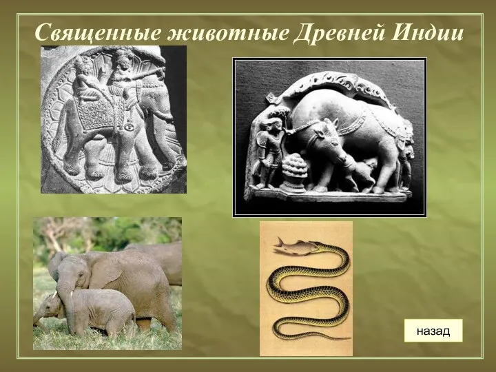 Священные животные Древней Индии назад