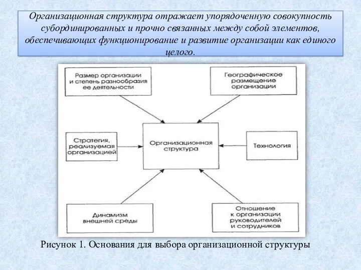 Организационная структура отражает упорядоченную совокупность субординированных и прочно связанных между