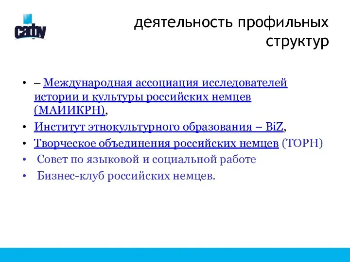 деятельность профильных структур – Международная ассоциация исследователей истории и культуры