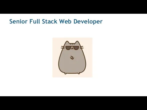 Senior Full Stack Web Developer