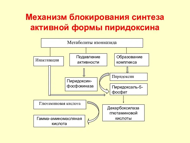 Механизм блокирования синтеза активной формы пиридоксина Метаболиты изониазида Пиридоксин Пиридоксаль-5-фосфат