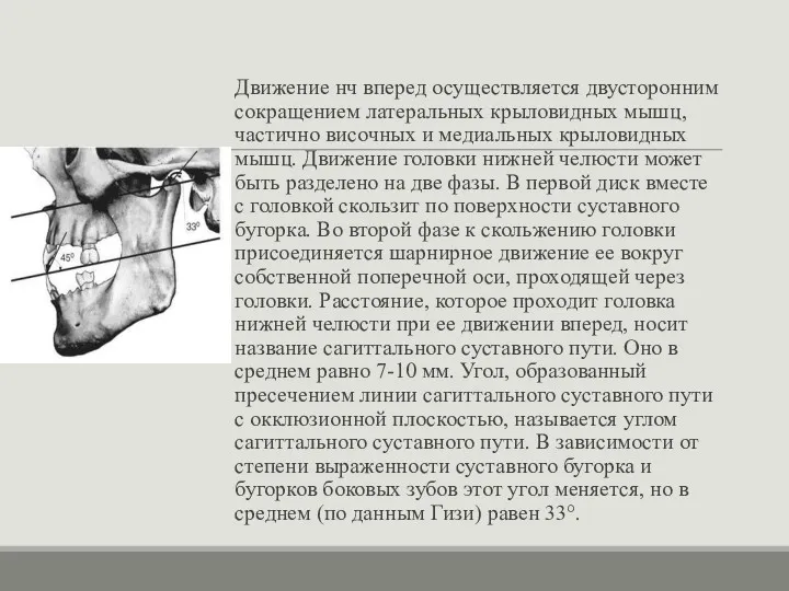 Движение нч вперед осуществляется двусторонним сокращением латеральных крыловидных мышц, частично