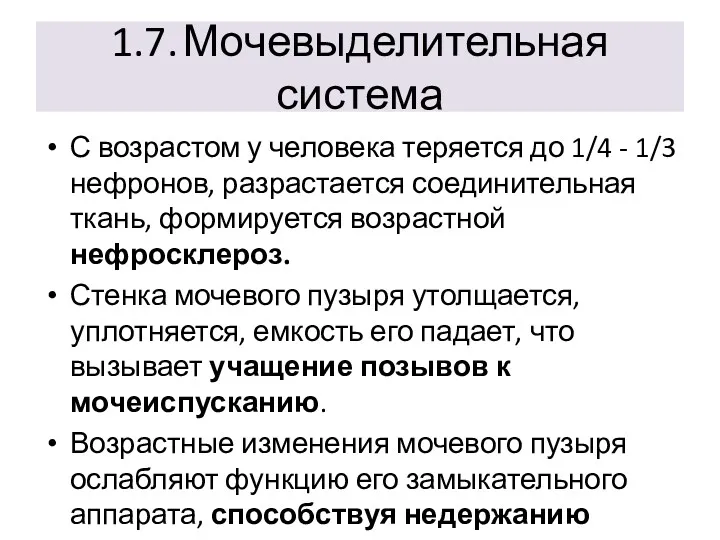 1.7. Мочевыделительная система С возрастом у человека теряется до 1/4