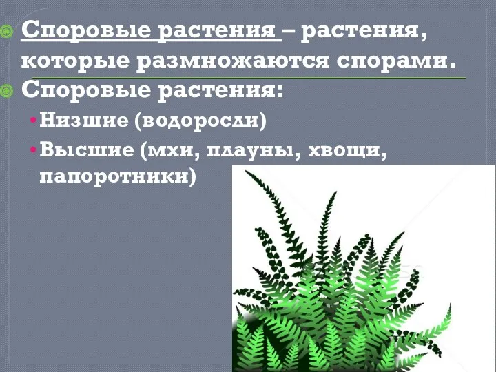 Споровые растения – растения, которые размножаются спорами. Споровые растения: Низшие (водоросли) Высшие (мхи, плауны, хвощи, папоротники)