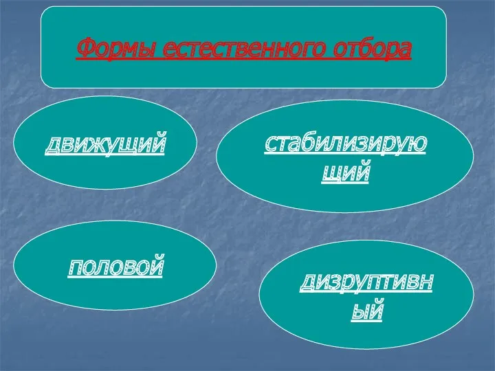 Формы естественного отбора движущий половой стабилизирующий дизруптивный