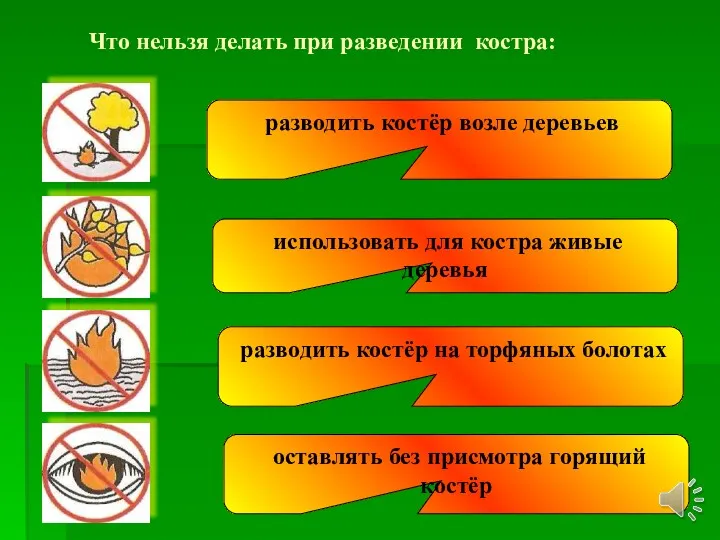 Что нельзя делать при разведении костра: разводить костёр возле деревьев