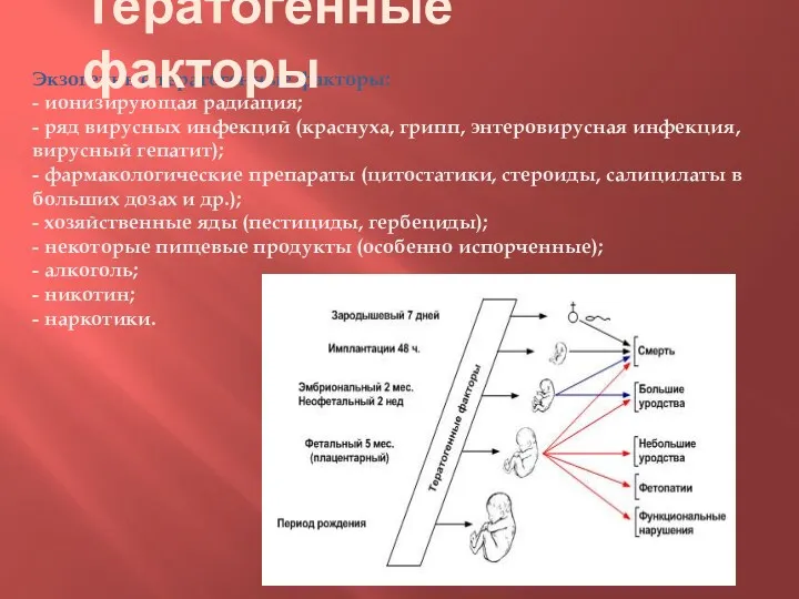 Экзогенные тератогенные факторы: - ионизирующая радиация; - ряд вирусных инфекций