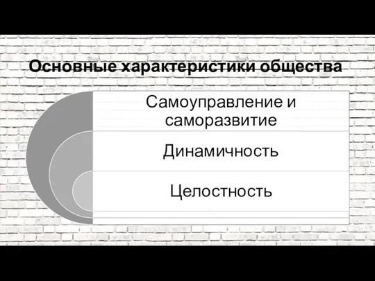 Основные характеристики общества