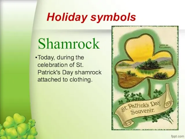 Нoliday symbols Shamrock Today, during the celebration of St. Patrick's Day shamrock attached to clothing.