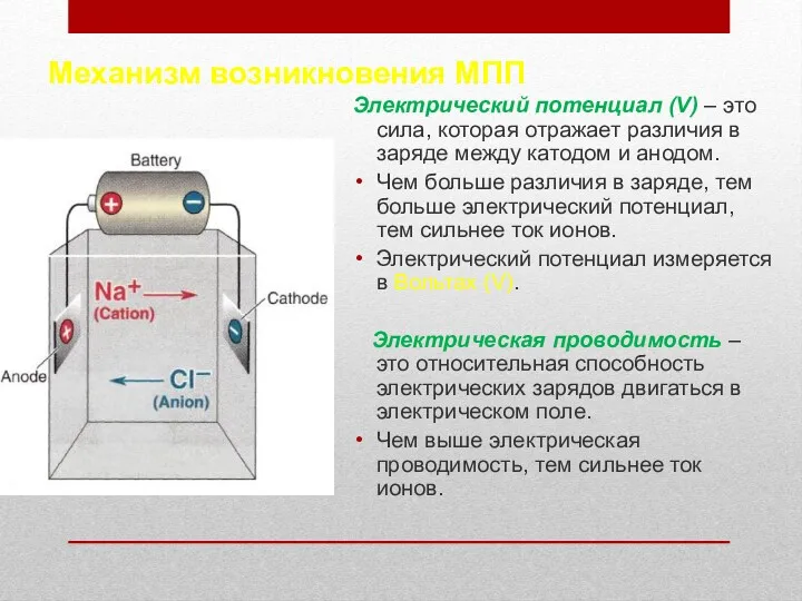 Механизм возникновения МПП Электрический потенциал (V) – это сила, которая