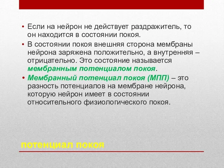 потенциал покоя Если на нейрон не действует раздражитель, то он