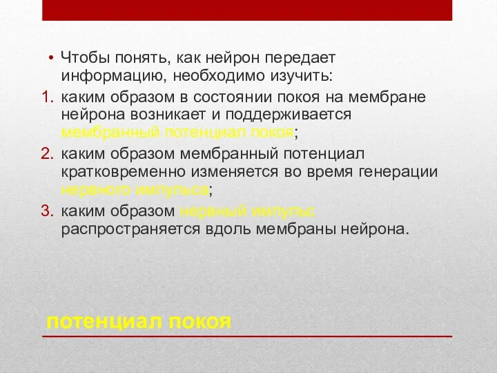 потенциал покоя Чтобы понять, как нейрон передает информацию, необходимо изучить: