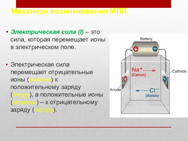 Механизм возникновения МПП Электрическая сила (I) – это сила, которая