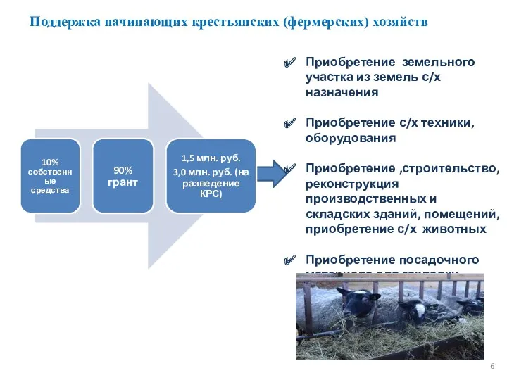 Поддержка начинающих крестьянских (фермерских) хозяйств Приобретение земельного участка из земель