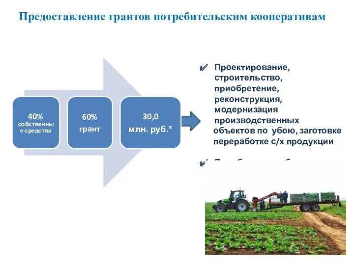 Предоставление грантов потребительским кооперативам Проектирование, строительство, приобретение, реконструкция, модернизация производственных