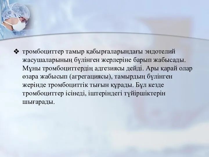 тромбоциттер тамыр қабырғаларындағы эндотелий жасушаларының бүлінген жерлеріне барып жабысады. Мұны