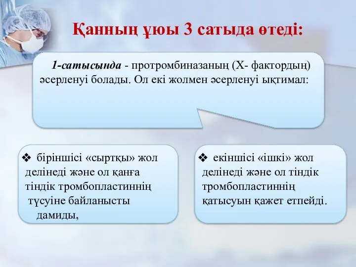 1-сатысында - протромбиназаның (X- фактордың) әсерленуі болады. Ол екі жолмен