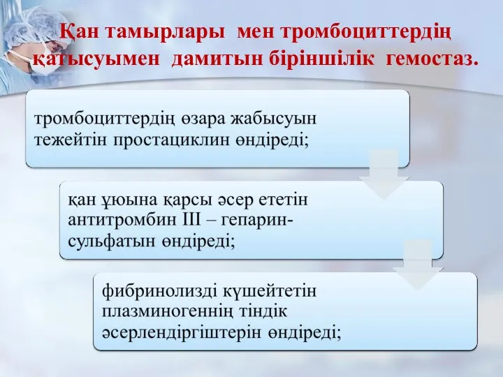 Қан тамырлары мен тромбоциттердің қатысуымен дамитын біріншілік гемостаз.