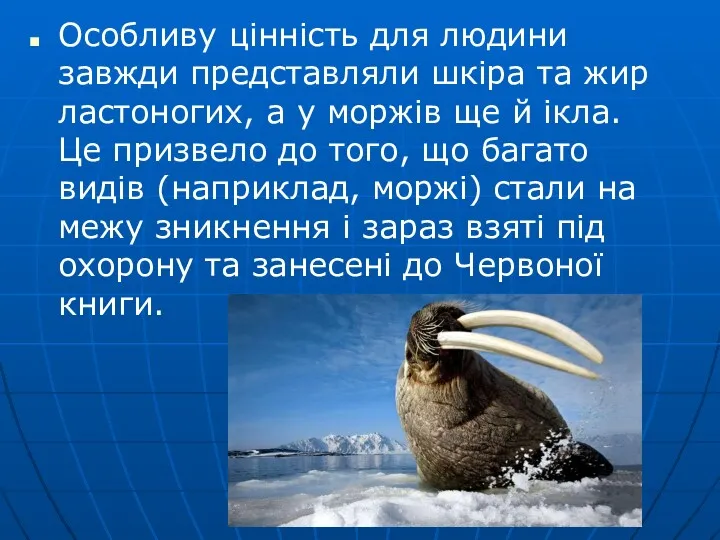 Особливу цінність для людини завжди представляли шкіра та жир ластоногих,