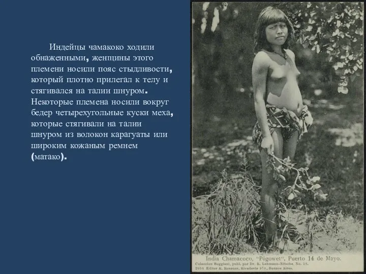 Индейцы чамакоко ходили обнаженными, женщины этого племени носили пояс стыдливости, который плотно прилегал