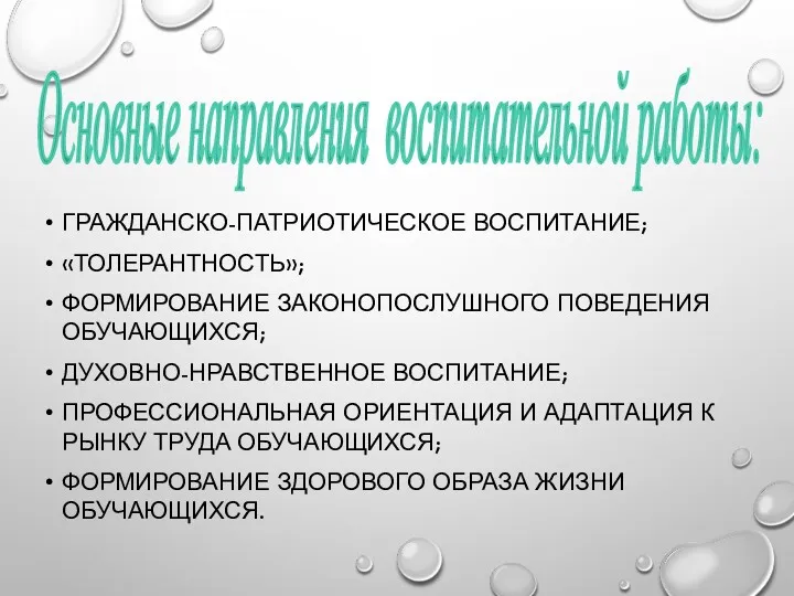 ГРАЖДАНСКО-ПАТРИОТИЧЕСКОЕ ВОСПИТАНИЕ; «ТОЛЕРАНТНОСТЬ»; ФОРМИРОВАНИЕ ЗАКОНОПОСЛУШНОГО ПОВЕДЕНИЯ ОБУЧАЮЩИХСЯ; ДУХОВНО-НРАВСТВЕННОЕ ВОСПИТАНИЕ; ПРОФЕССИОНАЛЬНАЯ