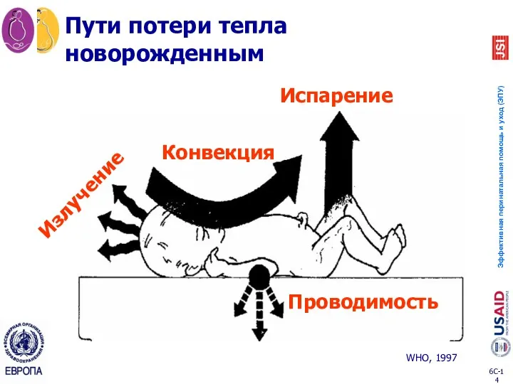 Излучение Конвекция Испарение Проводимость Пути потери тепла новорожденным WHO, 1997