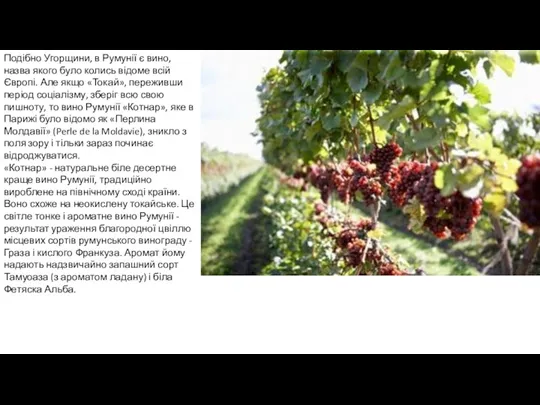 Подібно Угорщини, в Румунії є вино, назва якого було колись