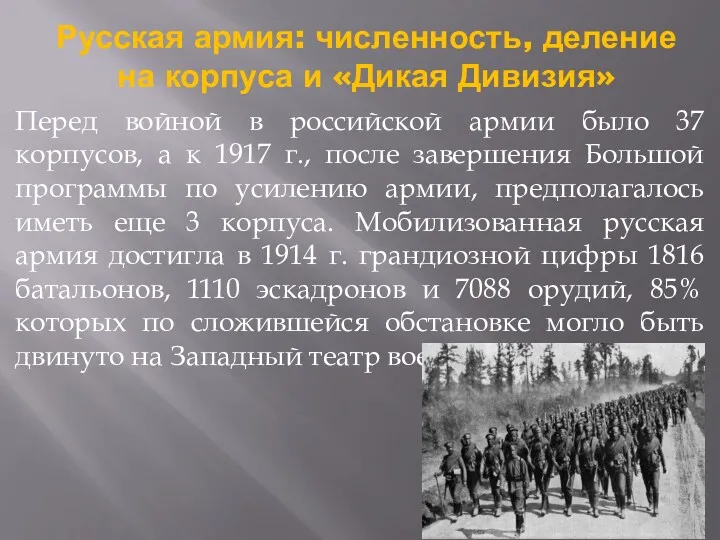 Русская армия: численность, деление на корпуса и «Дикая Дивизия» Перед