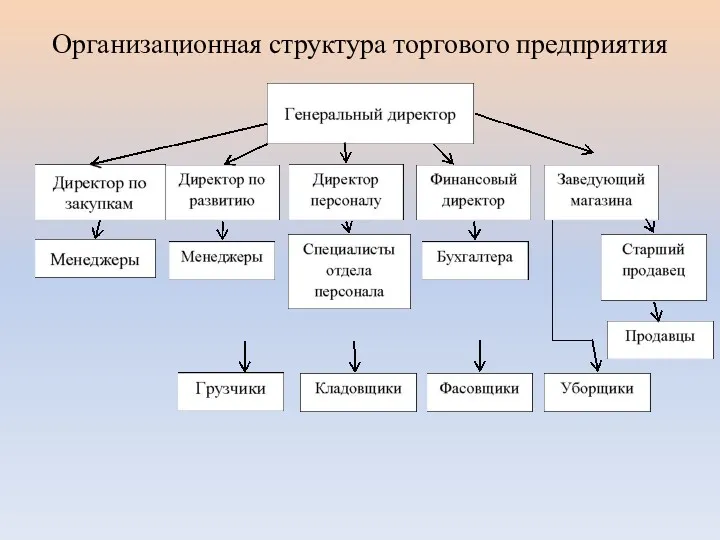 Организационная структура торгового предприятия