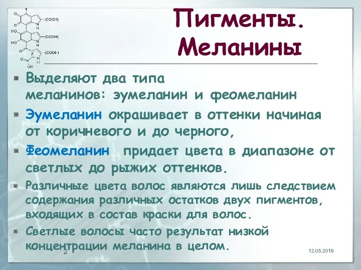 Пигменты. Меланины Выделяют два типа меланинов: эумеланин и феомеланин Эумеланин