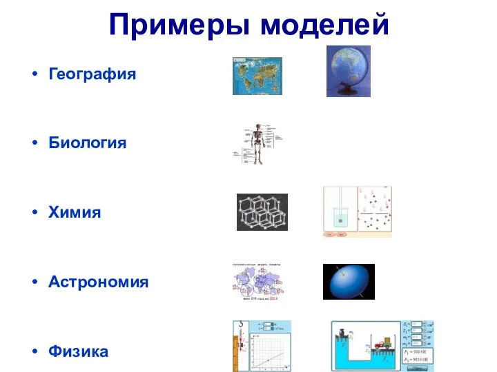 Примеры моделей География Биология Химия Астрономия Физика