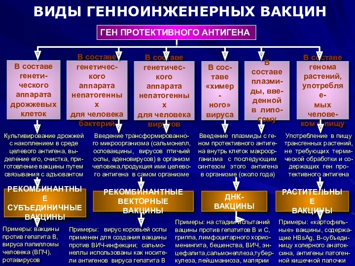 РАСТИТЕЛЬНЫЕ ВАКЦИНЫ ДНК-ВАКЦИНЫ РЕКОМБИНАНТНЫЕ ВЕКТОРНЫЕ ВАКЦИНЫ РЕКОМБИНАНТНЫЕ СУБЪЕДИНИЧНЫЕ ВАКЦИНЫ ВИДЫ