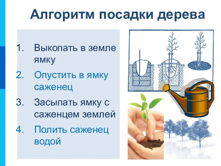 Алгоритм посадки дерева Выкопать в земле ямку Опустить в ямку