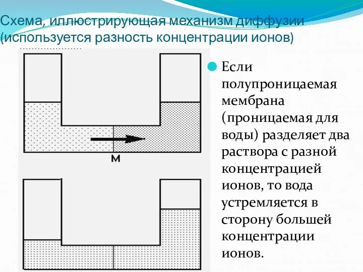 Схема, иллюстрирующая механизм диффузии (используется разность концентрации ионов) Если полупроницаемая